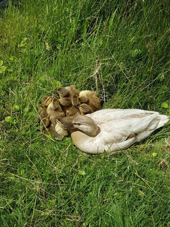 Lieux-Au-Lac Augignac Dış mekan fotoğraf